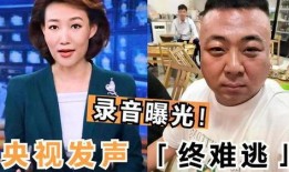 唐山爆料录音事件视频最新,真相与争议再引热议