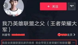 国美曹某抄袭视频爆料,揭秘抄袭背后的真相与影响